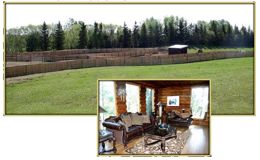horse property with log home located near Edmonton Alberta